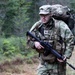NYNG, Swedish Armed Forces train together during Northern Lights 26