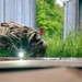 Defuse, clear, enable: Deterrent Viking sharpens EOD readiness