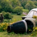 Defuse, clear, enable: Deterrent Viking sharpens EOD readiness