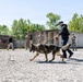 Fort Knox military working dog detachment facilitates joint training for local law enforcement