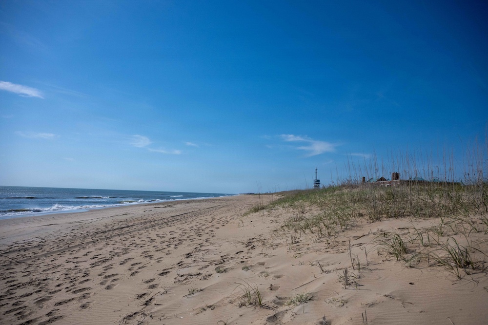 Sailors, Marines and civilians across Hampton Roads help restore Dam Neck Annex coastline