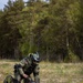 CLB-24 showcases logistics capabilities to NATO Media