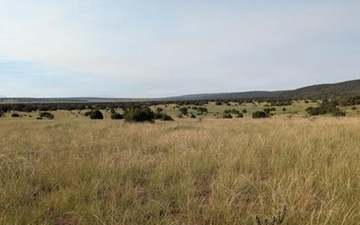 WSMR key collaborator in the successful conservation of “Turkey Ridge”