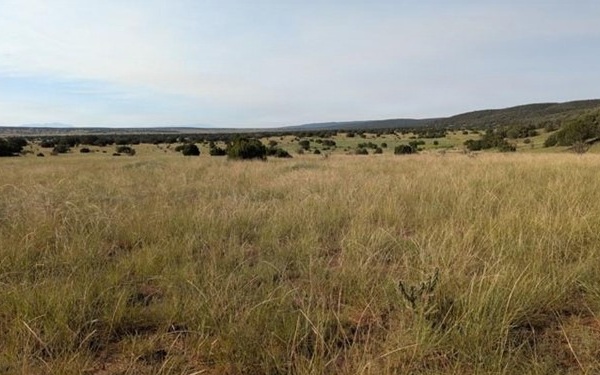 WSMR key collaborator in the successful conservation of “Turkey Ridge”
