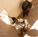 Multinational special forces conduct African Lion 26 close-quarters battle training