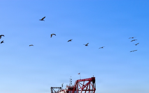 Channel Islands Harbor Dredging