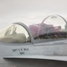 1 MEF Deputy Commanding General flies with VMFA-323 Death Rattlers