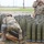 Best Redleg Competitors from 1st Armored Division Artillery load up ammunition in preparation for their evaluated live fire