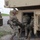 Best Redleg Competitors from 1st Armored Division Artillery load up ammunition in preparation for their evaluated live fire