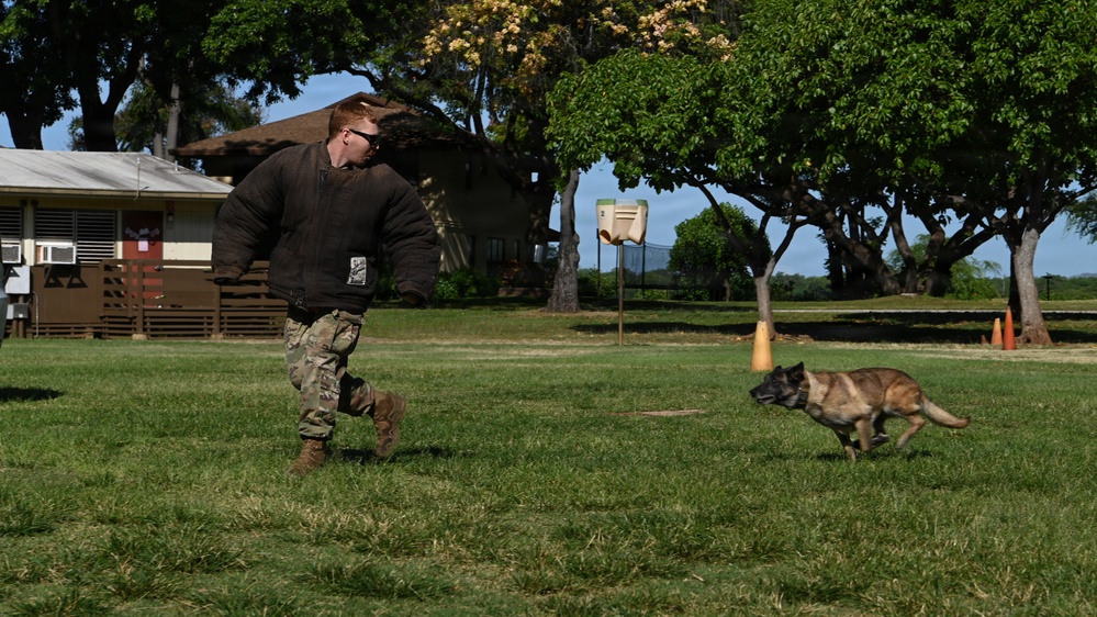 2026 Police Week Hickam Elementary K9 Demo