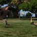 2026 Police Week Hickam Elementary K9 Demo