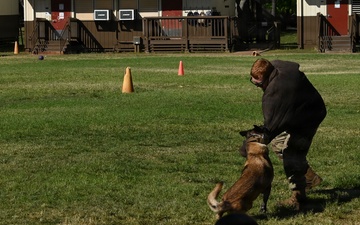 2026 Police Week Hickam Elementary K9 Demo