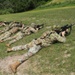 Texas Military Department's 2026 Governor's Twenty M4 Competition