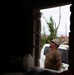 U.S. Armed Forces Help Rebuild Saipan After Sinlaku