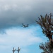 HMH-361 Marines maintain CH-53E Super Stallion helicopter