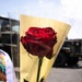 MCAS Iwakuni Hosts a Spouse Warrior Day