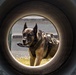 Military Working Dog Training