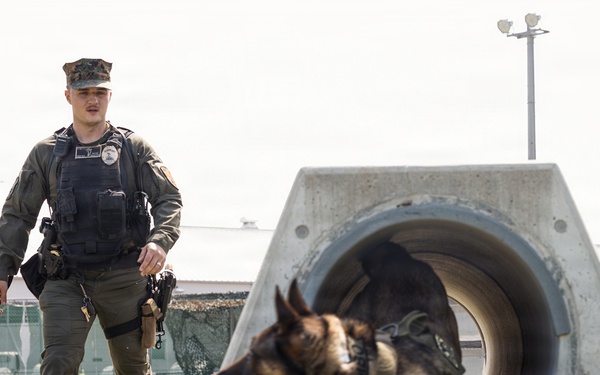 Military Working Dog Training