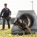 Military Working Dog Training
