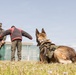 Military Working Dog Training