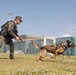 Military Working Dog Training