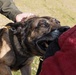 Military Working Dog Training
