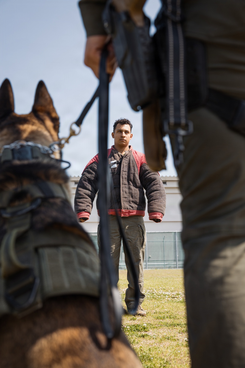 Military Working Dog Training