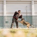 Military Working Dog Training