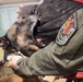Military Working Dog Training