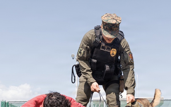 Military Working Dog Training