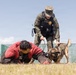 Military Working Dog Training