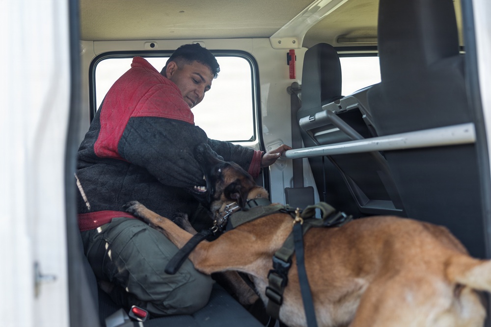 Military Working Dog Training