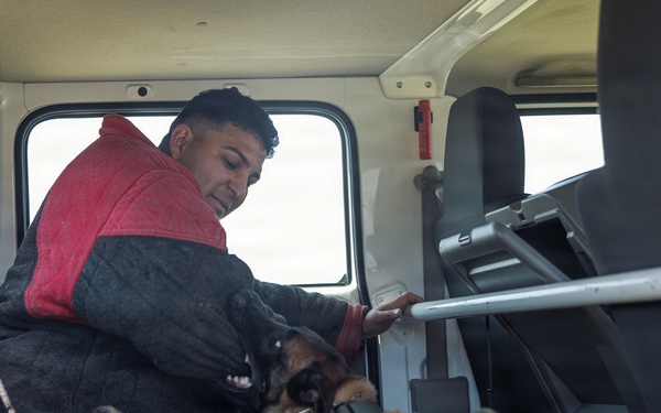 Military Working Dog Training