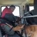Military Working Dog Training