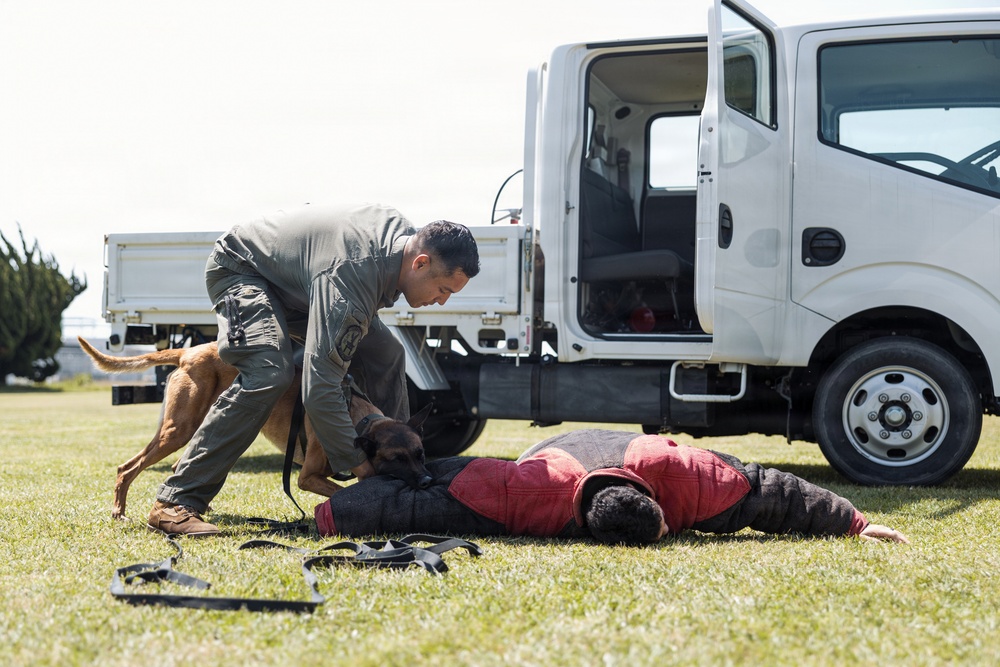 Military Working Dog Training