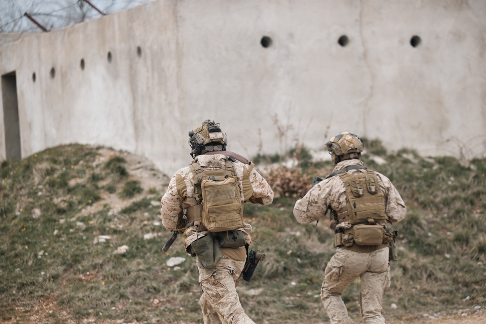 Recon Marines display lethality during bilateral training in France