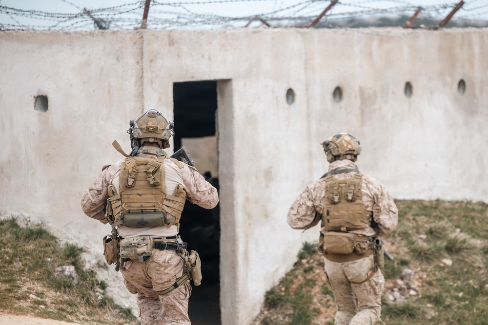 Recon Marines display lethality during bilateral training in France