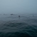 Recon Marines demonstrate amphibious lethality in France