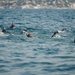 Recon Marines, French Foreign Legionnaires demonstrate amphibious capabilities during 2-kilometer surface swim in France