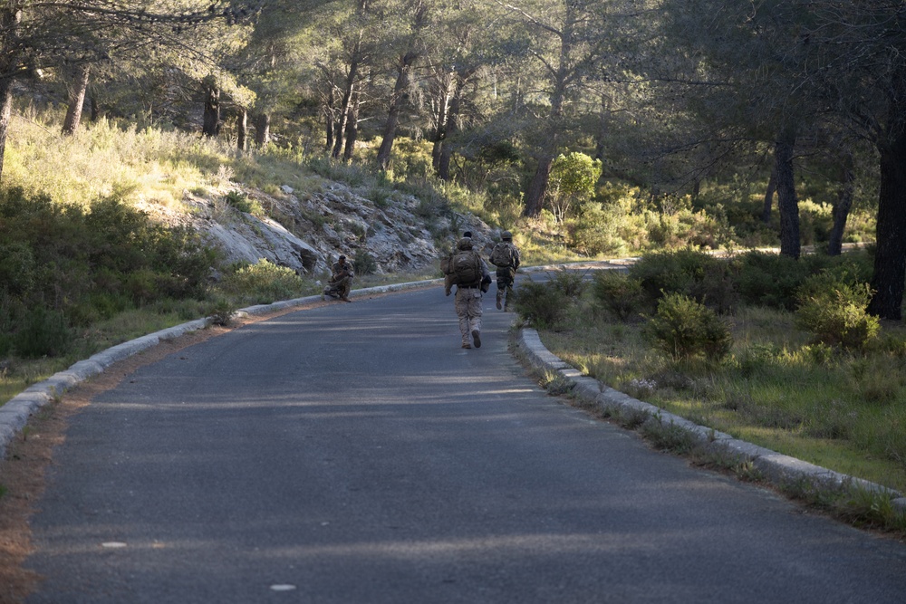 Recon Marines show grit, endurance during loaded march in France