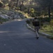 Recon Marines show grit, endurance during loaded march in France