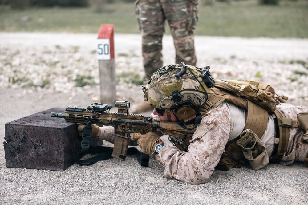 Recon Marines demonstrate lethality during shooting challenge in France