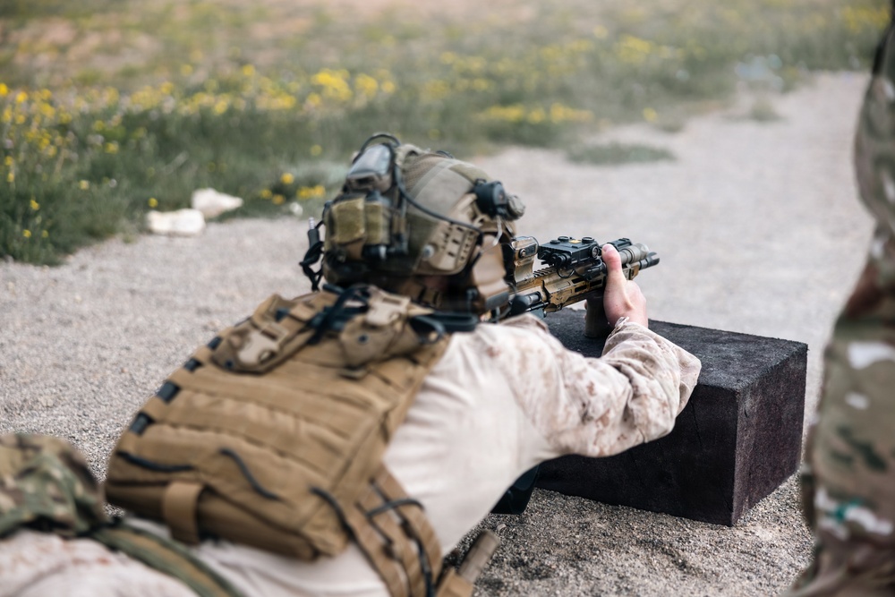 Recon Marines demonstrate lethality during shooting challenge in France