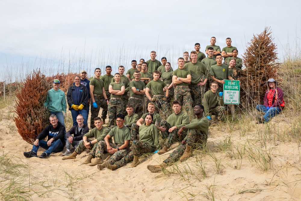 Building Natural Barriers: Repurposed Christmas Trees Protect Dam Neck Dunes