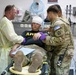 KFOR RC-E Soldiers strengthen response capabilities during mass casualty exercise