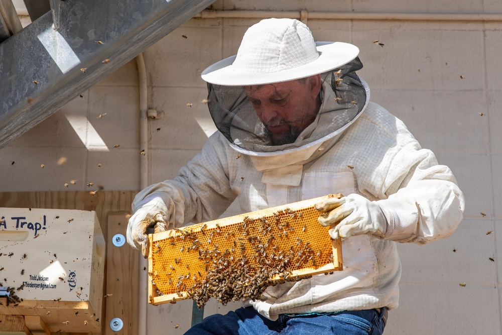 Have you heard the latest buzz?