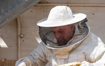 Have you heard the latest buzz?