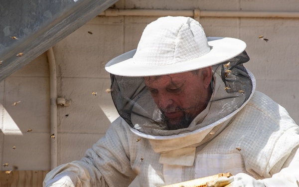 Have you heard the latest buzz?
