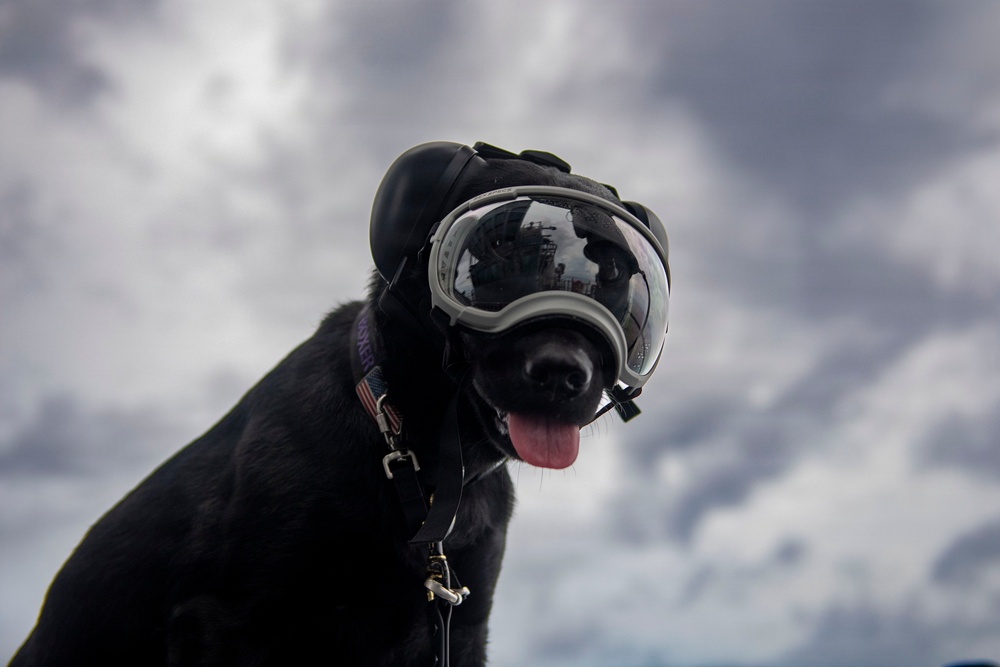 Lady Boxer Observes Ship’s Transit