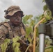 Salaknib 2026: 2-35 Infantry 'Cacti' takes on Day 1 of JPMRC-X